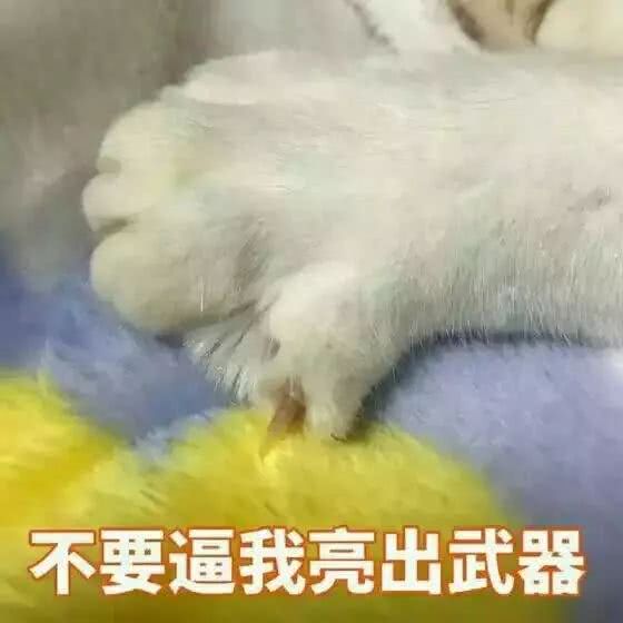  久未露面的她,一出现就是靠蛇精脸广告捞钱白富美人设彻底崩了