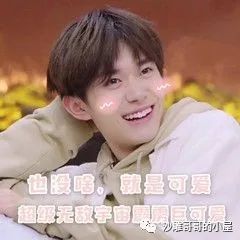  搞笑又沙雕的朋友圈文案二