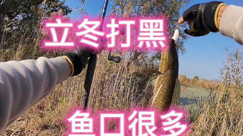  谁说冬天打不了黑的谁说的原来钓鱼才是抖音运动顶流