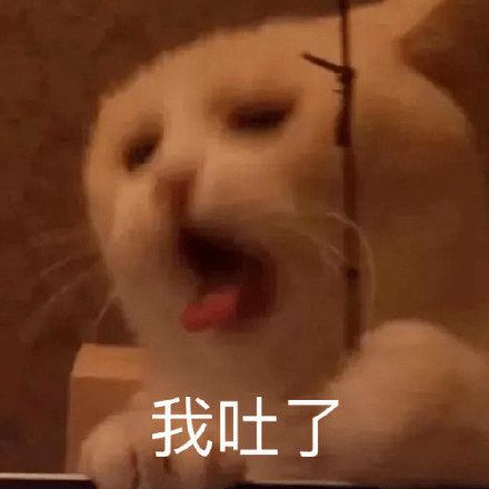  网红宠物博主,没你想的那么美好