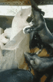 小姐姐看起来挺漂亮的,为什么感觉男朋友怪怪的,到底是什么回事 小姐姐看起来挺漂亮的,为什么感觉男朋友怪怪的,到底是什么回事