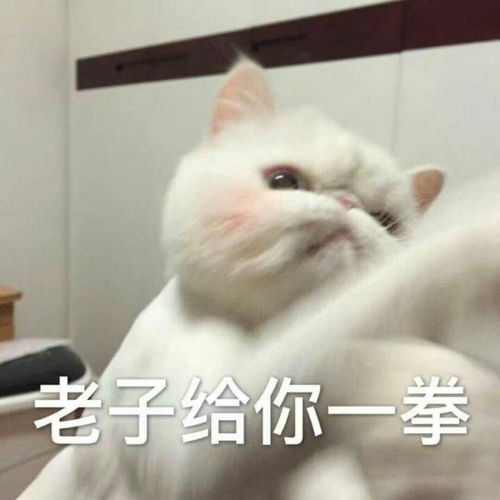 超萌表情包σω