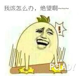  求问黄皮用什么牌子的口红好,什么颜色最适合