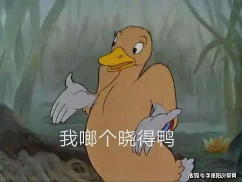  对购房者不友好的期房制,什么时候能在德阳消失