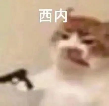  红米顶配旗舰把友商搞得没法玩了