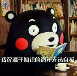  熊本熊关于学习的表情包我爱学习,学习使我快乐