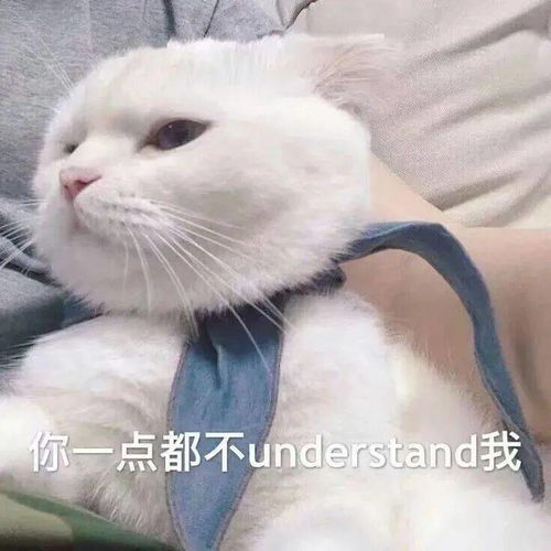  乘风破浪的考题有没有你pick到的