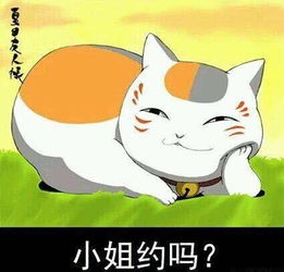 已奖励一组喵咪老师萌萌表情包,喜欢就转走吧