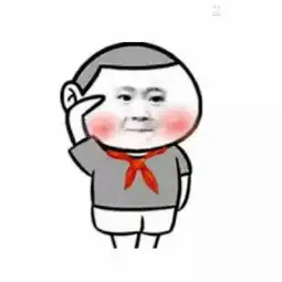 美了美了歌词表情包敬礼