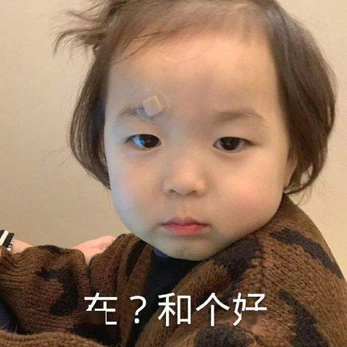夏温表情包合集