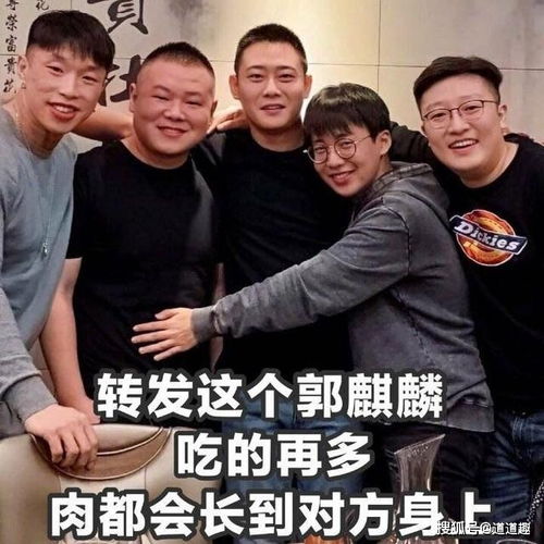  表情包系列第五期30张德云社搞笑图片
