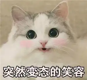 新手买猫挑猫要注意什么 新手买猫挑猫要注意什么