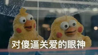  一大波新晋网红鸡豪华表情包来啦,但你存的可能是一只假鸡哦