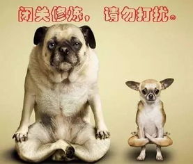  股票市场里面,有十种人,你是哪一种呢