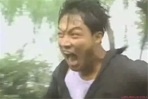  上海正式入梅,36高温雨雨雨,接下来没好日子过了