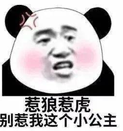  日常沙雕搞笑熊猫头表情包来啦,敲可爱