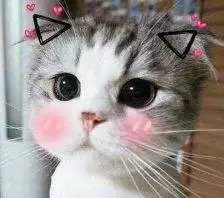 开心一刻段子凡事都有两面,穷,有时候也是一种幸福 开心一刻段子凡事都有两面,穷,有时候也是一种幸福