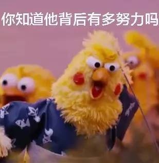 好兄弟表情包男女鹦鹉兄