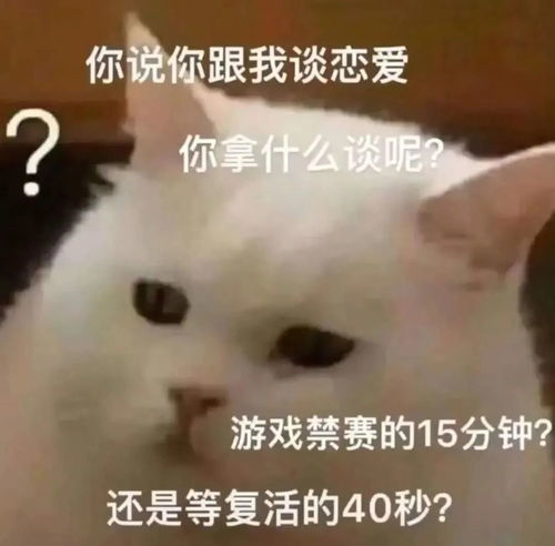  表情包你说跟我谈恋爱,你拿什么谈