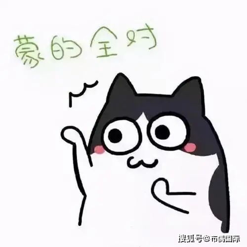  猫咪代替主人去高考,结果发现