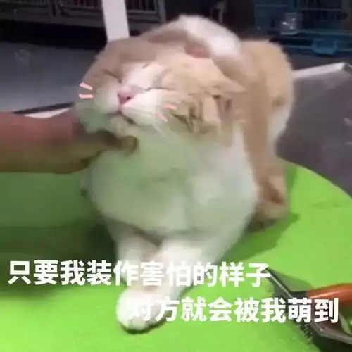 没有表情包,还聊什么天100张表情包,拿去 没有表情包,还聊什么天100张表情包,拿去