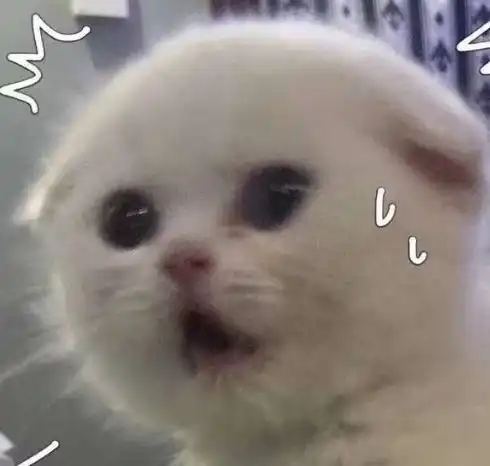 e句话看天下丨鹿晗关晓彤又双甜蜜暴击了,芦苇姐姐还好吗 e句话看天下丨鹿晗关晓彤又双甜蜜暴击了,芦苇姐姐还好吗