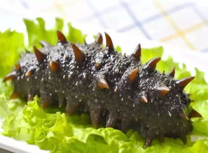 海参怎么泡发,学会这几步就没问题 海参怎么泡发,学会这几步就没问题