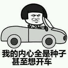 开车表情包