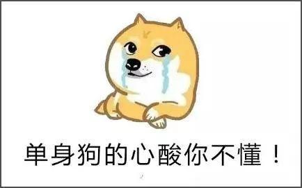  畅聊中国车15万预算传祺ga6卡罗拉轩逸怎么选