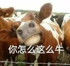  朋友圈可以评论表情包了
