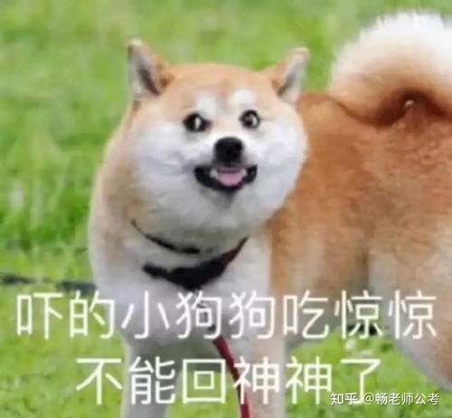  重庆三支一扶最终报名统计上岸比去年难度大了近一半