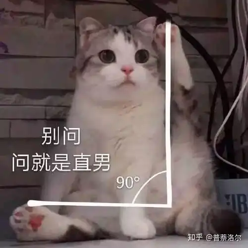 丸丸表情包沙雕