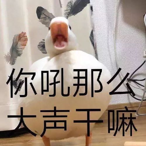  今日体感温度飙至33,但安省今冬的第一场暴风雪已经在路上