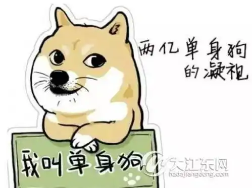  大江东一单身汪,被迫加入了一个两亿的项目,据说在28日晚上还要