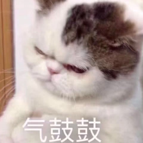  表情被怼了也不生气,心如止水表情包了解下,佛系聊天更可爱表情
