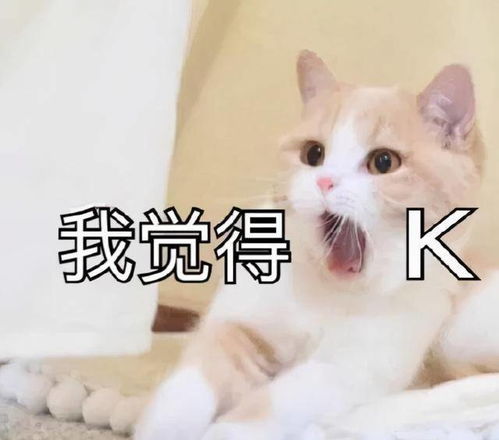  王师傅恋爱从离婚开始和小毛毛频繁更新高甜互动