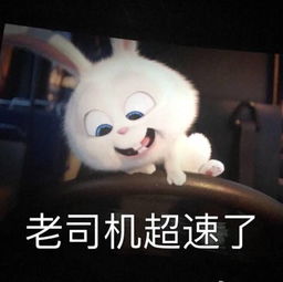  谁有爱宠大机密里的这只兔子的表情包发给我,有的私下我