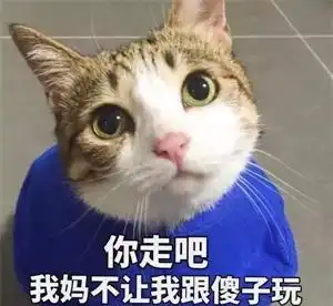 猫咪老师表情包带字沙雕