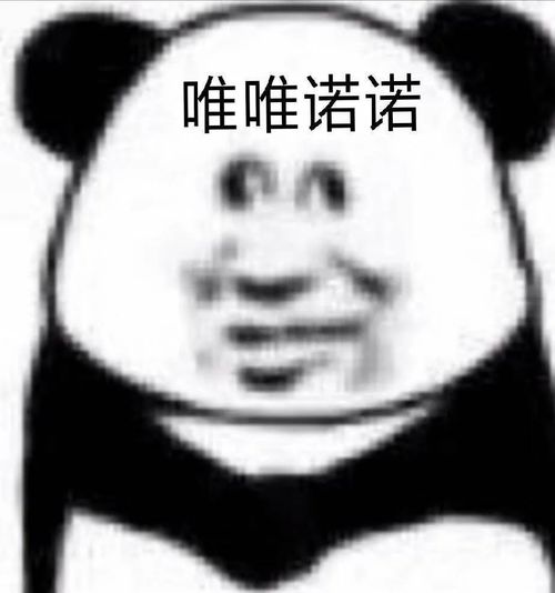  报名第一天已有23135人报名成功