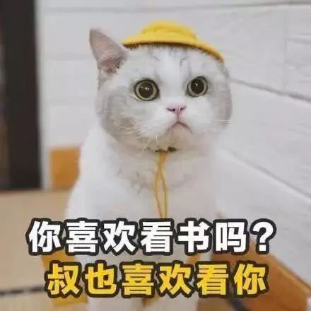  上海30平米的家居然还能挤出书房小户型规划范本我的私房书单