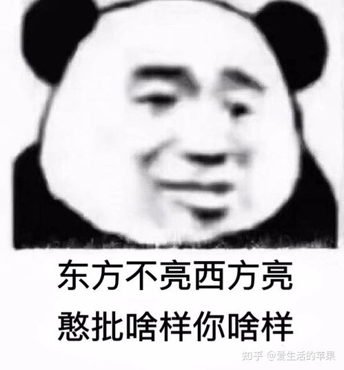  沙雕怼人斗图的熊猫头表情包二