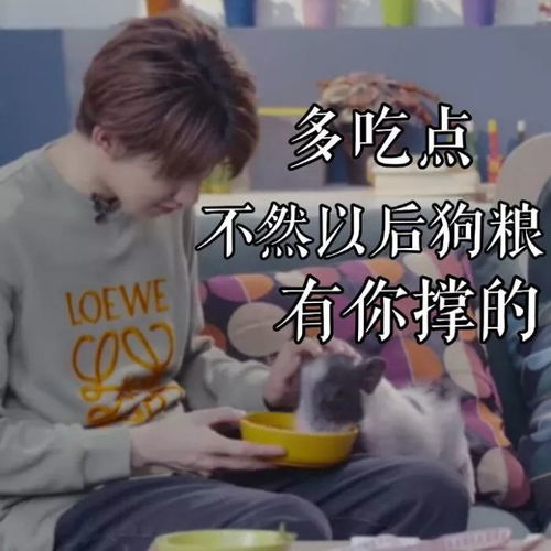  tfboys微信聊天表情包