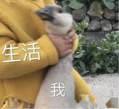 双非跨专业申请top50名校疫情阻挡,还好我没有投降 双非跨专业申请top50名校疫情阻挡,还好我没有投降