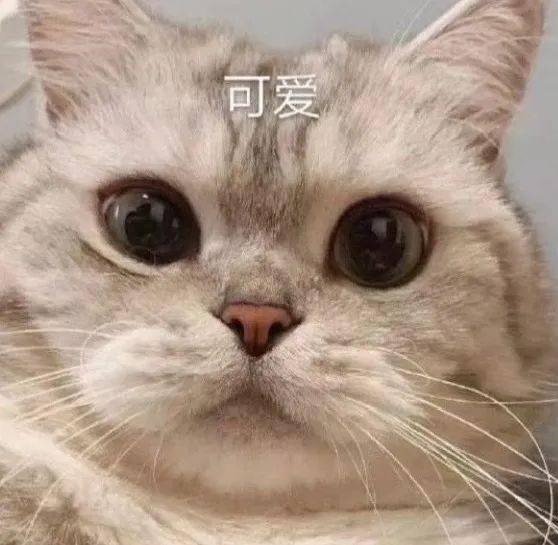  那些简单易做的美食快抓住假期的小尾巴动手做起来吧