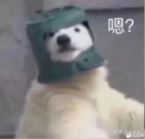 呜呜呜呜的表情包可爱沙