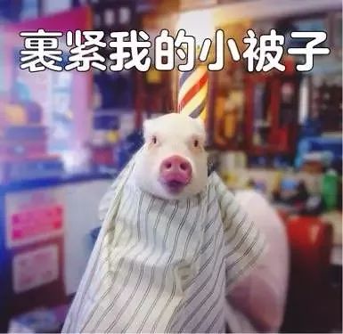 余杭最低温即将降至个位数您的双11免费大礼还包邮的冷空气已发货,附赠雨雨雨....
