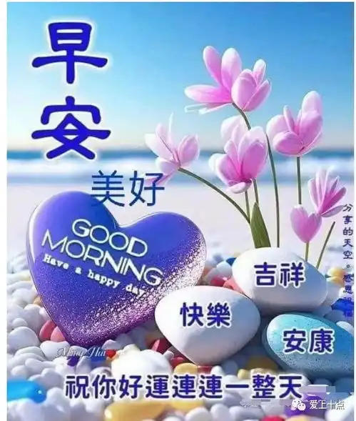 中老年人表情包图片早上