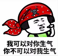 你说这个谁懂啊表情包小