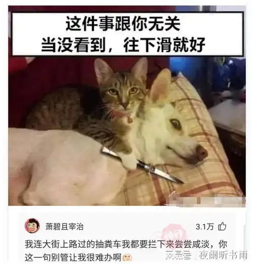 神回复不考虑薪水和面子,你最想做什么工作神评全国统一啊 神回复不考虑薪水和面子,你最想做什么工作神评全国统一啊