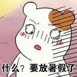  核桃校园暑期实践那些事